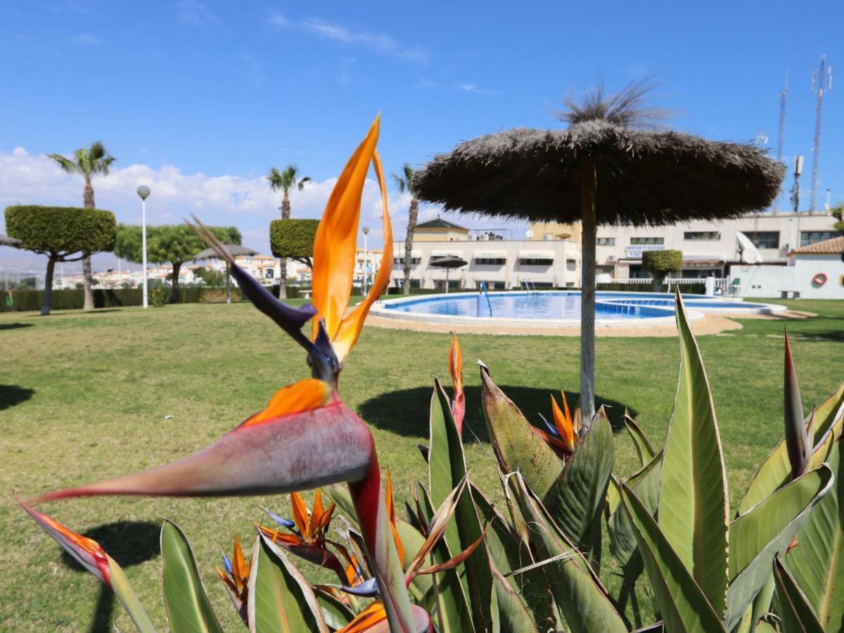 001 - Altomar II 001 - comfortHOLIDAYS Gran Alacant Exterior foto